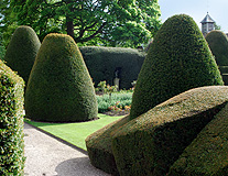 Chrick castle Gardens photo