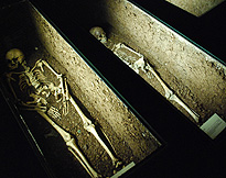 Medieavl Tomb Skeletons Metz Cour d'or photo
