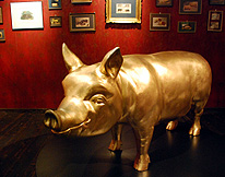 Gold Pig at Schweine Museum photo