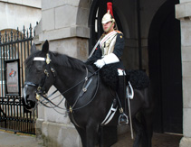 Queen's Horse Guard on Duty