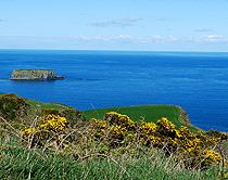 Northern Ireland Coastal Walk