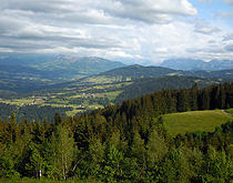 View of Vorarlberg Alp from Pfanderbahn