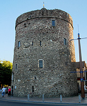 Reginald's Tower Waterford