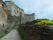 Castle Ruins Rheinfels