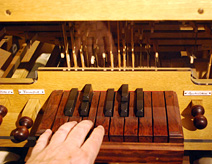 Hands On Musical Instrument Playing Grassi Museum Leipzig