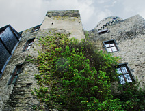 Burg Pyrmont Wall Windows