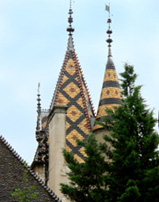 Beaune Wine Region Typical Tile Roof photo
