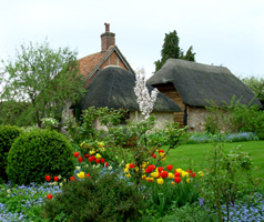 Bed & Breakfast Cottage Oxfordshire photo