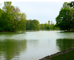 Englisher Garten central garden in Munich photo