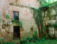 Rhineland Frankenstein Ruins photo