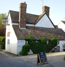 Traditional Country English Pub Bear at Home photo