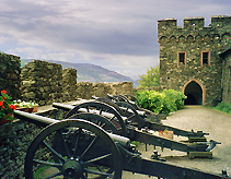 Reichenstein Castle Cannons