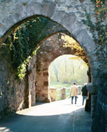 Black Forest Castle Draw Gate Photo