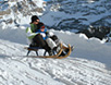 Swiss Winter Travel photo