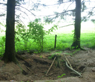 Bastogne Battle Foxhole photo