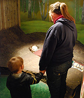 Dublinia Exhibit for Kids photo