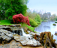 St Fiacre garden photo