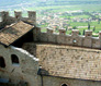 Italy Wine Touring photo