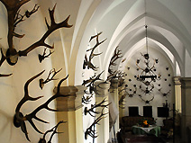 Reichenstein Castle Antlers